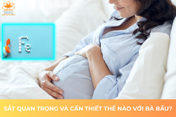 Sắt Quan Trọng Và Cần Thiết Thế Nào Với Bà Bầu? 